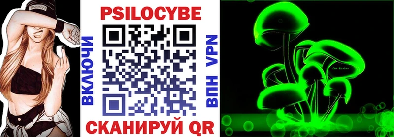 Купить закладки  Павловский Посад  Псилоцибиновые грибы Cubensis 